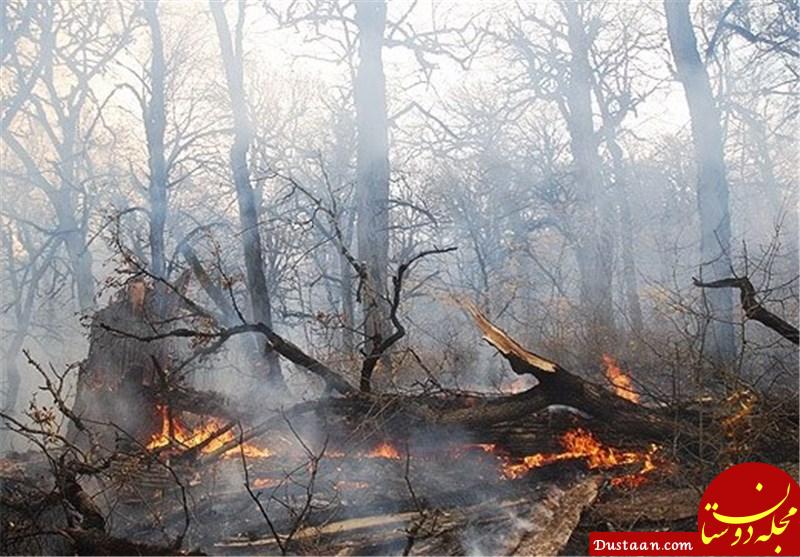 رشت|‌ آتش‌سوزی جنگل‌های استان گیلان مهار شد