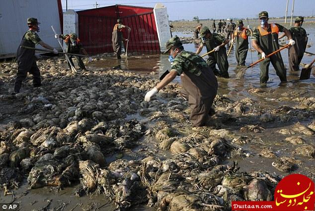 مرد چینی اول مادرش را نجات داد، زنش طلاق گرفت