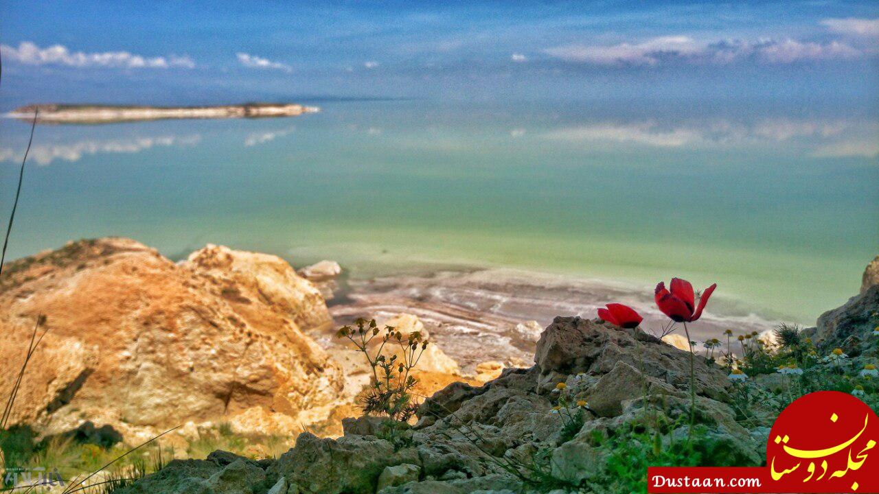 www.dustaan.com-زنده شدن امیدهای دریاچه ارومیه بعد از بارش‌ های اخبر +تصاویر