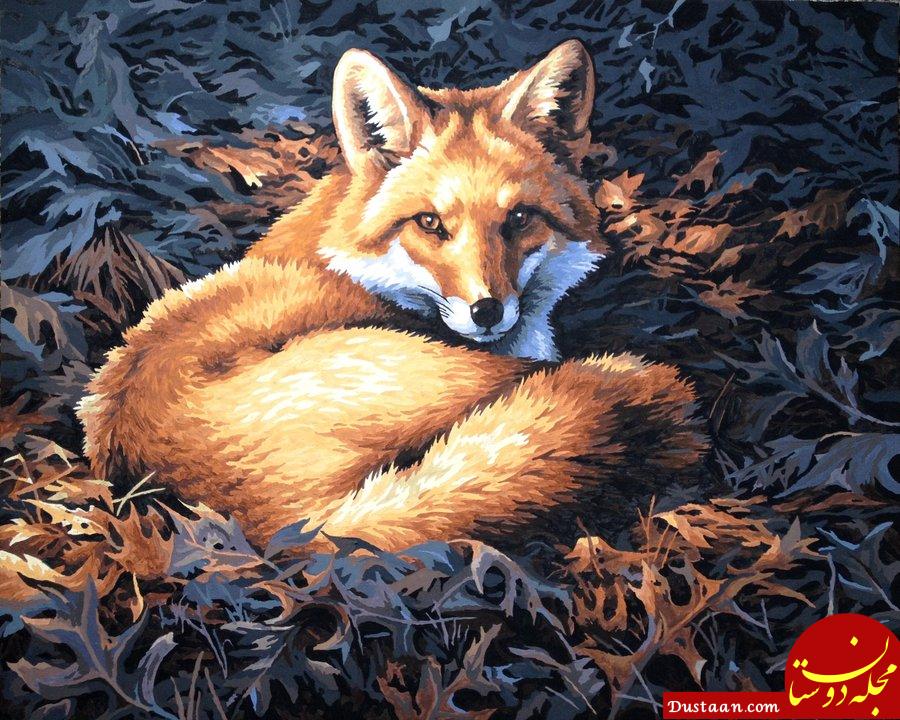 https://img00.deviantart.net/776f/i/2012/187/6/4/forest_fox_by_jiayin5-d568v4q.jpg