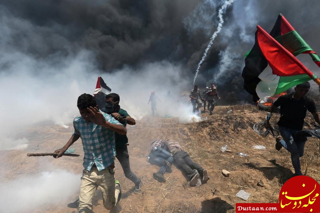 www.dustaan.com-قتل‌ عام فلسطینی‌ ها به بیش از ۵۰ تن رسید +تصاویر