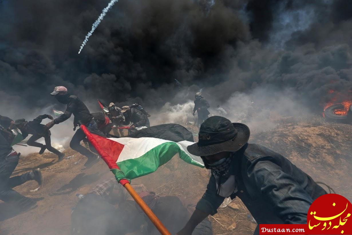www.dustaan.com-قتل‌ عام فلسطینی‌ ها به بیش از ۵۰ تن رسید +تصاویر