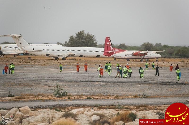 www.dustaan.com-جمع‌ آوری ۷۶ راس آهو از فرودگاه کیش +تصاویر