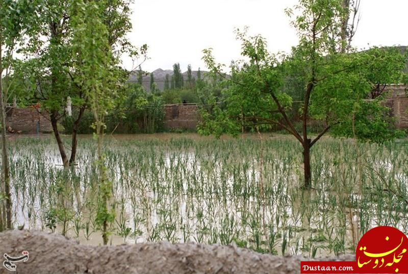 خساراتی که سیل در شهر 7 هزار ساله ایران به جا گذاشت +تصاویر www.dustaan.com خساراتی که سیل در شهر 7 هزار ساله ایران به جا گذاشت +تصاویر