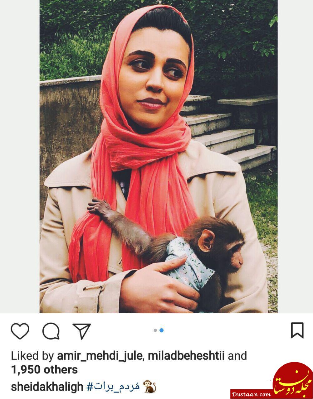 اخبار,اخبار فرهنگی,چهره‌ها در شبکه‌های اجتماعی