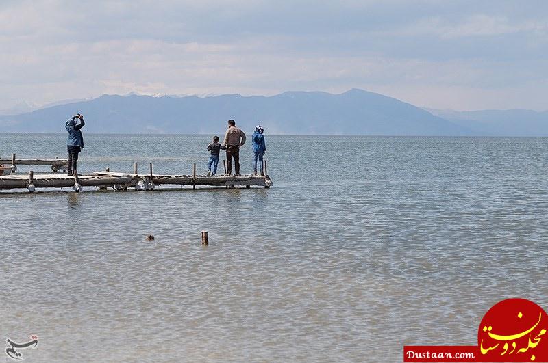  اخبار اجتماعی ,خبرهای اجتماعی,دریاچه ارومیه