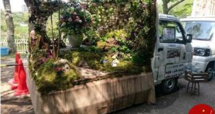 اخبار,اخبارگوناگون, طراحی باغ پشت کامیون‌های ژاپنی