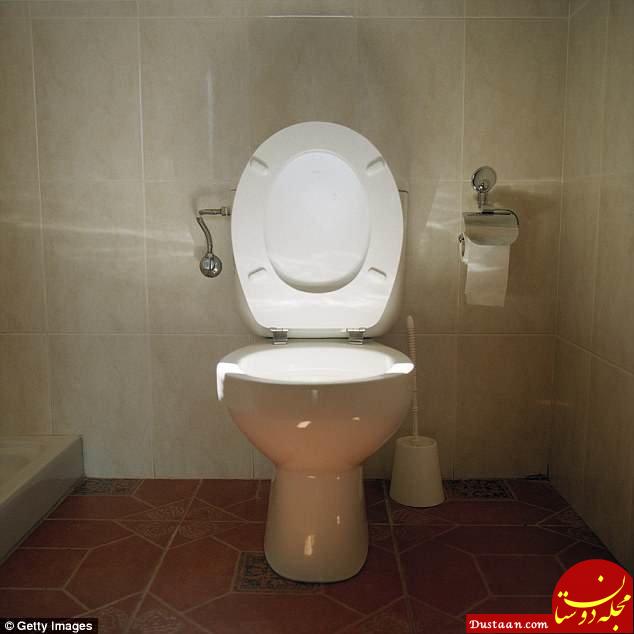 www.dustaan.com اون توالتش را هم به سنگاپور برده بود! +عکس
