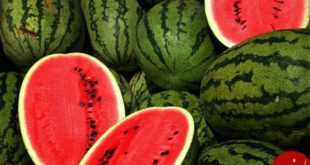 https://rastineh.com/wp-content/uploads/2014/05/Watermelons.jpg