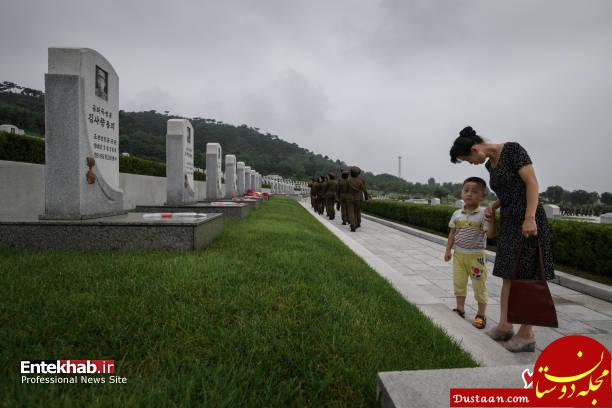 تصاویر : جنگ دو کره