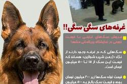 فروش سگ 500 میلیونی در مشهد!+عکس