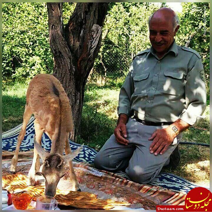 هم سفره عجیب یک محیط بان! +عکس www.dustaan.com هم سفره عجیب یک محیط بان! +عکس