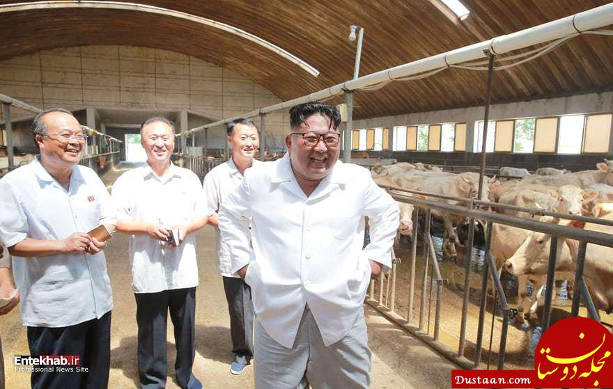 عکس/ رهبر کره شمالی در گاوداری