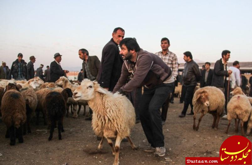 https://img8.irna.ir/1397/13970529/83006780/n83006780-72501544.jpg