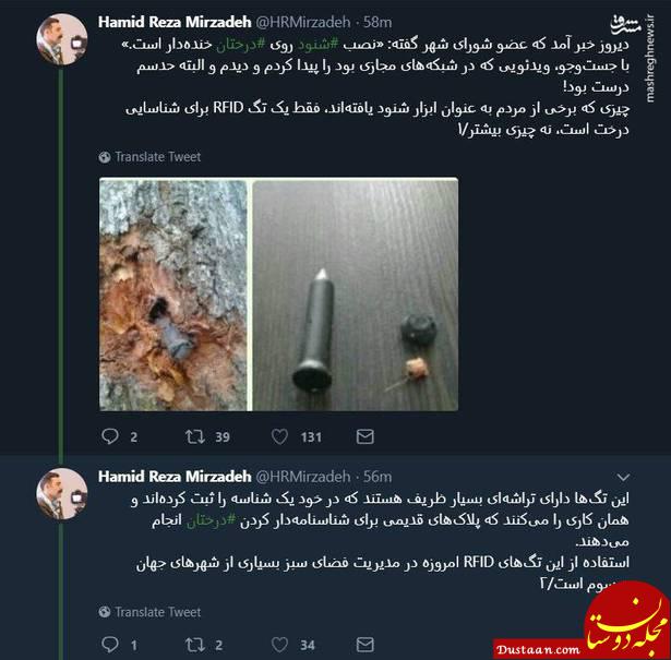 www.dustaan.com شایعه پراکنی عضو شورا درباره نصب شنود روی درختان +تصاویر
