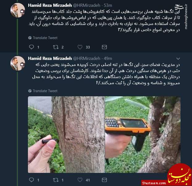 www.dustaan.com شایعه پراکنی عضو شورا درباره نصب شنود روی درختان +تصاویر