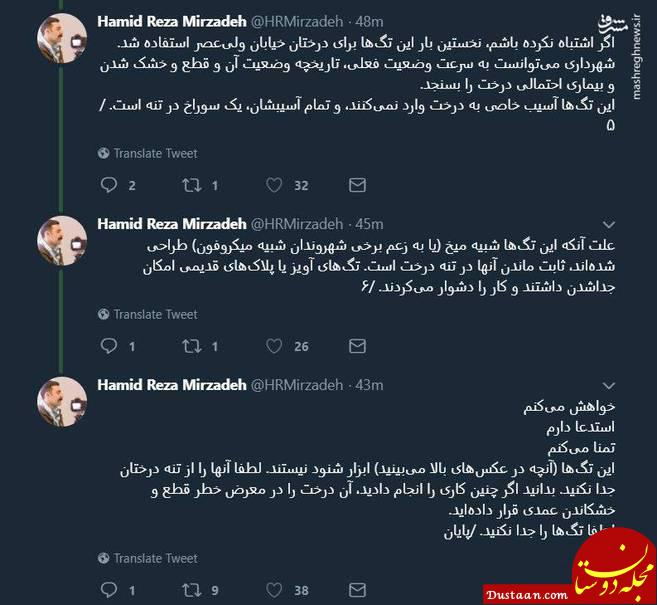 www.dustaan.com شایعه پراکنی عضو شورا درباره نصب شنود روی درختان +تصاویر