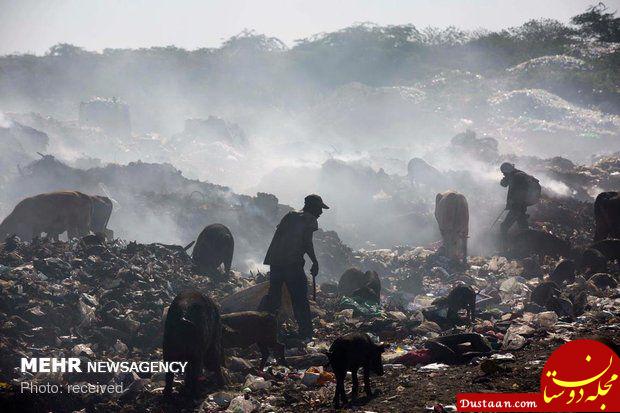 www.dustaan.com زندگی تلخ در میان زباله ها +عکس