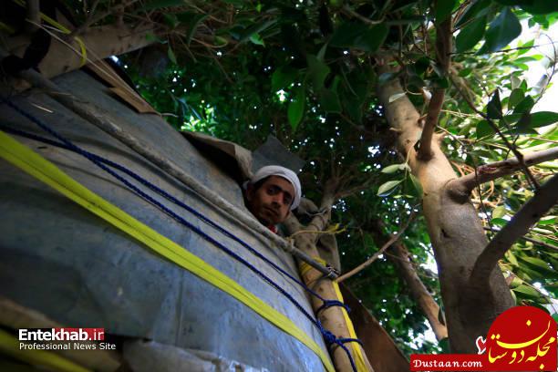 www.dustaan.com زندگی عجیب یک مرد روی درخت به دلیل فقر! +عکس