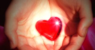 https://upload.wikimedia.org/wikipedia/commons/e/ea/Love_heart.jpg