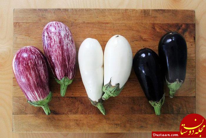 http://www.coca.ir/wp-content/uploads/2018/04/eggplant.jpg