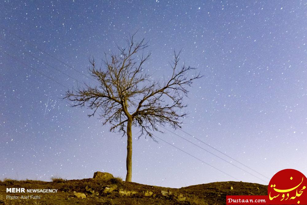 اخبار,اخبارعلمی وآموزشی,بارش شهابی جوزایی