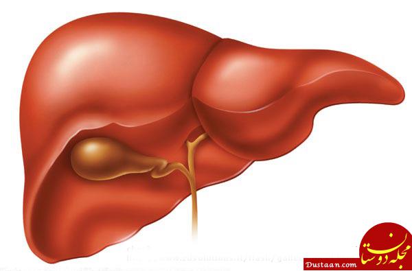 https://persian.epochtimes.com/wp-content/uploads/2017/11/liver.jpg