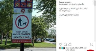 جریمه رها کردن سگ در ایرلند +عکس