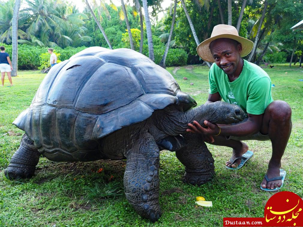 عکس: سنگین‌ترین لاک‌پشت جهان