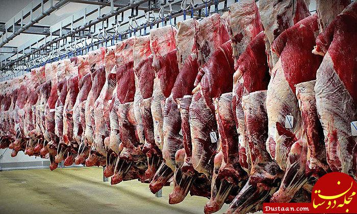 https://media.hamshahrionline.ir/d/2019/01/29/4/4311658.jpg