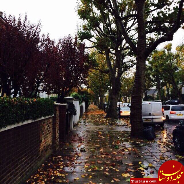 http://cdn-tehran.wisgoon.com/dlir-s3/10531448126485737902.jpg