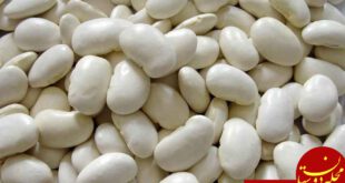 https://otanafoods.com/wp-content/uploads/white-bean-1.jpg