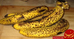 https://padidekashan.ir/wp-content/uploads/2018/01/black-spots-bananas-696x362.jpg