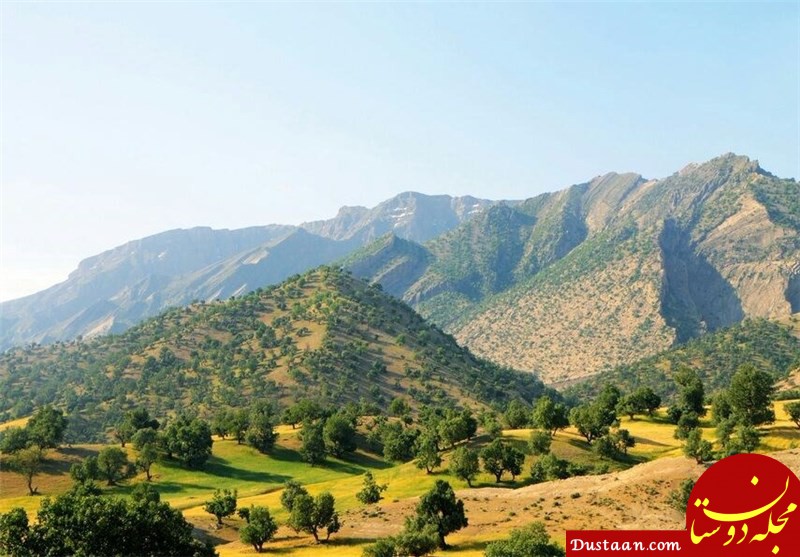 https://newsmedia.tasnimnews.com/Tasnim/Uploaded/Image/1393/10/02/139310021753431334355444.jpg