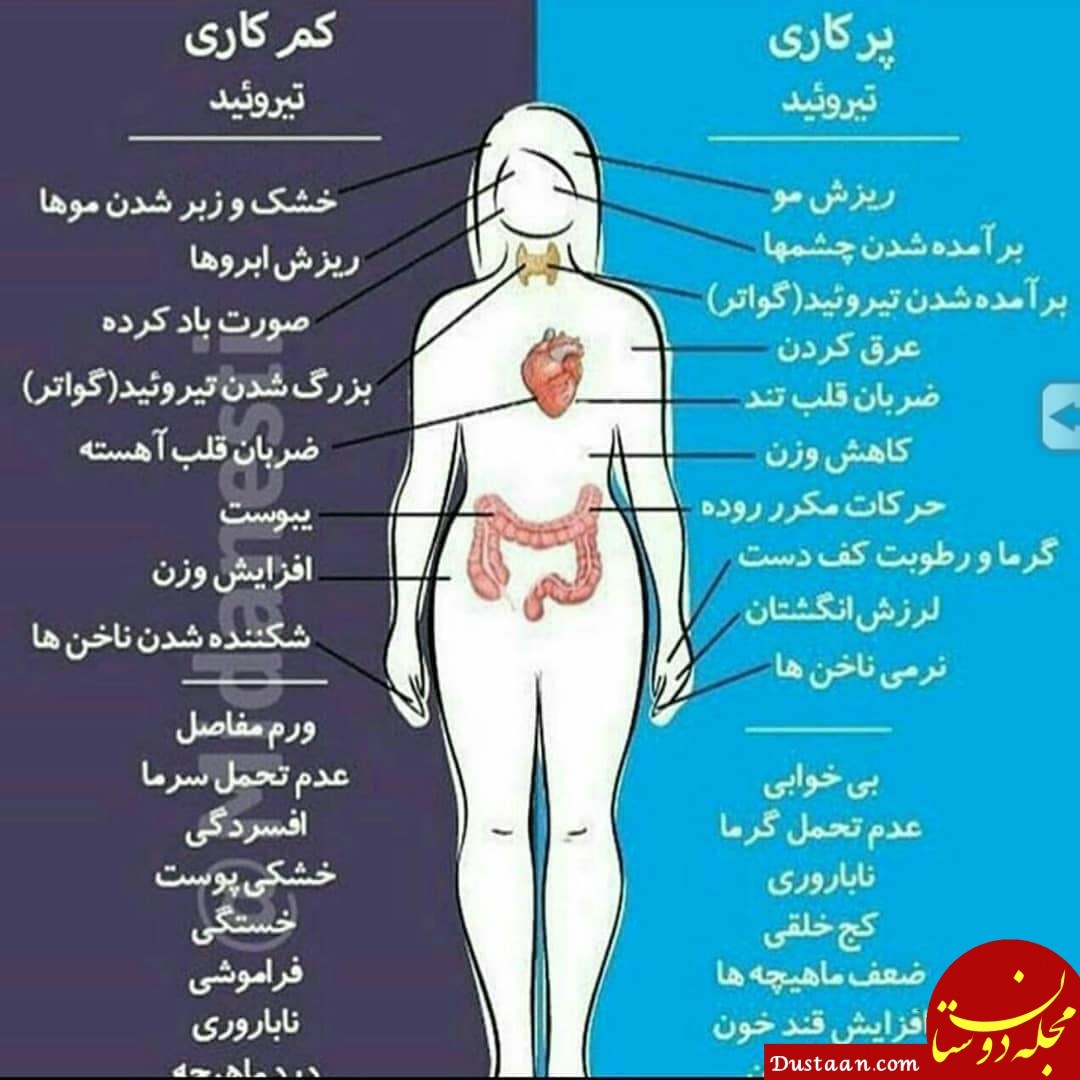 https://scontent-frt3-2.cdninstagram.com/vp/540ba75e1192d11352449055c9d15fb6/5D79EE87/t51.2885-15/e35/49357190_1867234793401904_8130016246686957484_n.jpg?_nc_ht=scontent-frt3-2.cdninstagram.com&se=7&ig_cache_key=MTk2MjM5MjM5ODY2OTAyMDQwNg%3D%3D.2