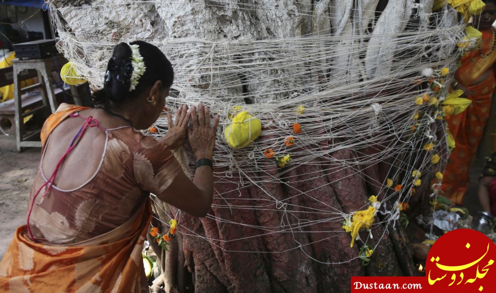 فستیوال زنان نخ به دست در هند - زنان در این فستیوال، همزمان با افطار، نخ هایی را به دور درختان مقدس می بندند و برای طول عمر شوهرشان دعا می کنند.&nbsp;