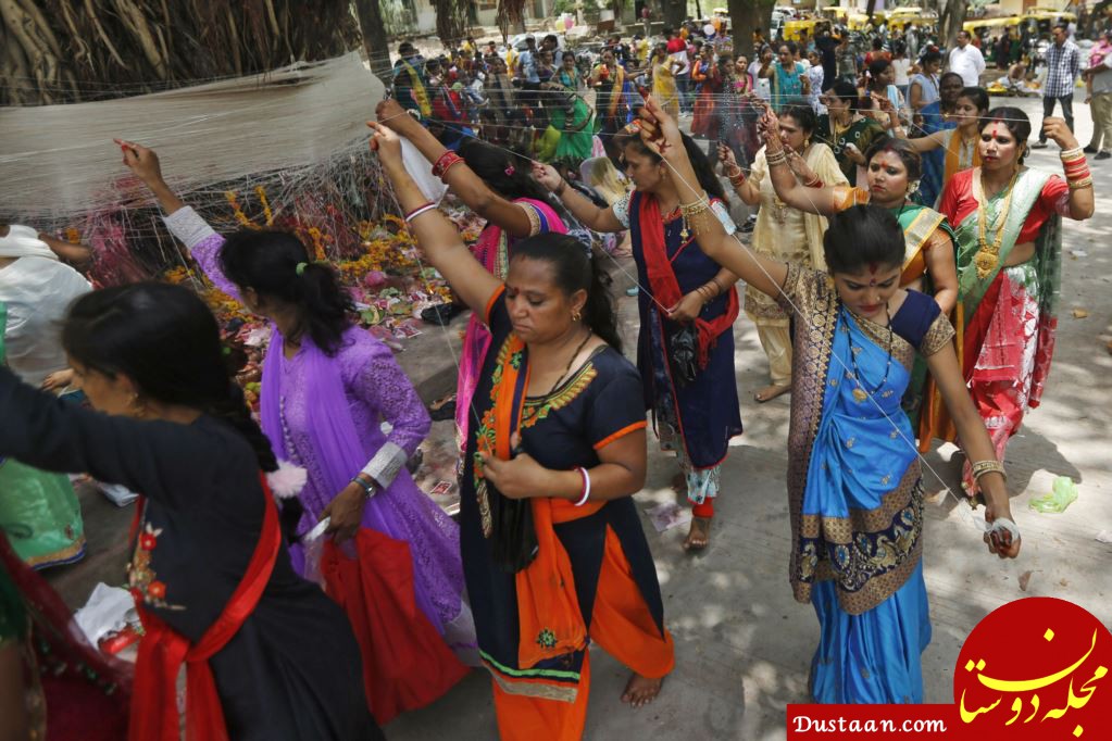 فستیوال زنان نخ به دست در هند - زنان در حالی که در نخ را دور درخت مقدس می بندند، به دور آن می چرخند و نیایش می کنند.&nbsp;