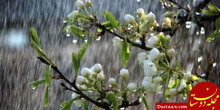 https://media.farsnews.com/Uploaded/Files/Images/1398/02/21/13980221000408_Test_PhotoN.jpg