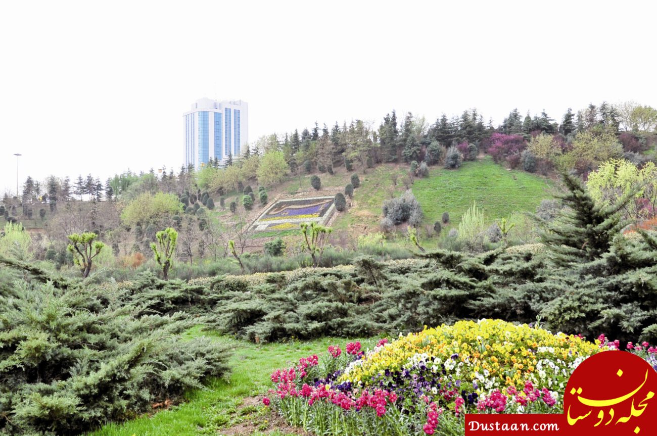 پیش‌نویس خودکار