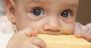کودک از چه زمانی پنیر بخورد؟