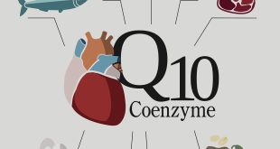 آنتی اکسیدانی کو آنزیم کیو 10 در بدن چه نقشی دارد؟