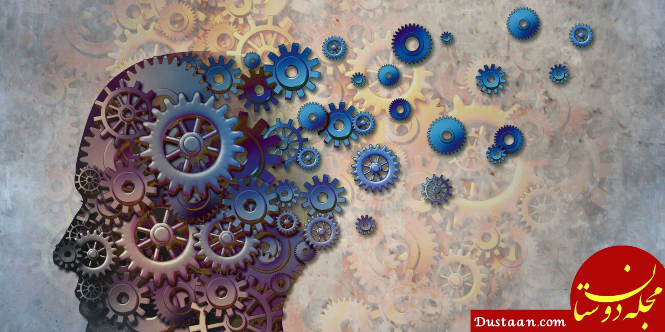 تست هوش تصویری ، تست آی کیو ، آزمون ضریب هوشی