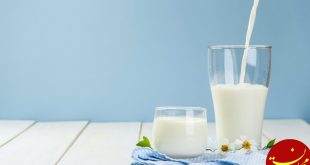 فواید پروتئین شیر چیست؟