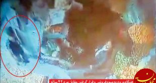 مرد متاهل بی گناه ، قربانی دوئل عشق خیابانی شد +عکس