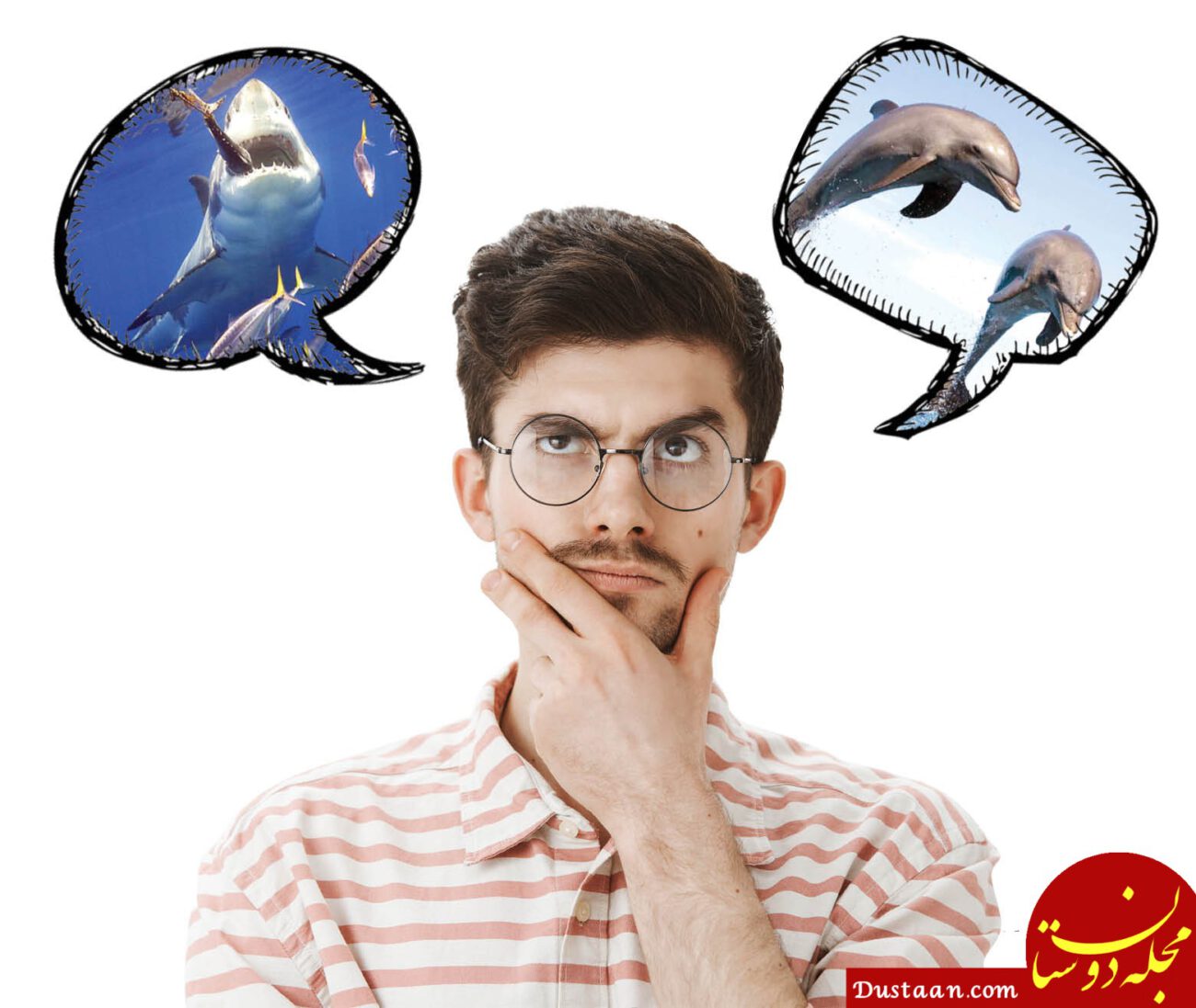 تفکر دلفینی و کوسه ‌ای یعنی چه؟ +ویژگی ها