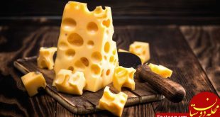 محققان دلیل بدبو بودن پنیر را کشف کردند!
