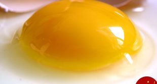 خواص زرده تخم مرغ خام و آب پز برای خانم ها و آقایان