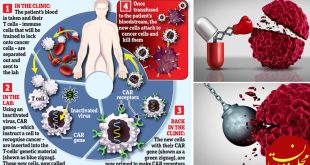 نتایج حیرت انگیز سلول درمانی CAR T-cell علیه سرطان