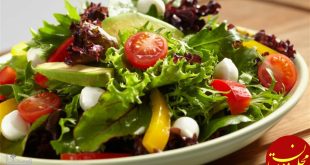 سبزی خوری یا سالاد خوری کدام بهتر است؟