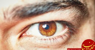 اندازه مردمک چشم توانایی مغز را نشان می‌ دهد!